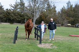 LR-WRF 0402026 Retreat-3504